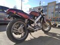 1999 Honda Bros, пурпурный, 438000 рублей - вид 6