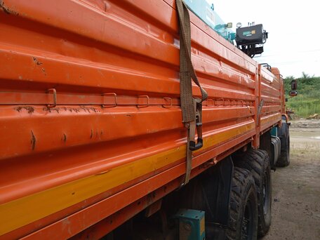 2022 КамАЗ 43118, оранжевый, 7755000 рублей, вид 3