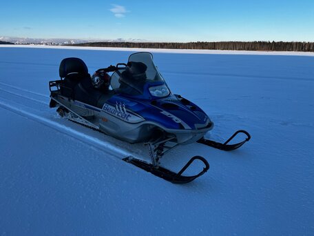 2005 Arctic Cat Bearcat, синий, 650000 рублей, вид 1