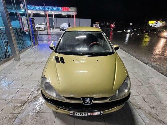 2003 Peugeot 206, золотистый