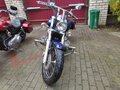 2008 Yamaha XVS1100, синий, 390563 рублей - вид 1