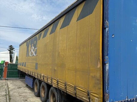 1998 Pacton TXD, золотистый, 750000 рублей, вид 2