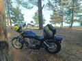 2004 Honda VT 1100, синий, 415000 рублей - вид 9