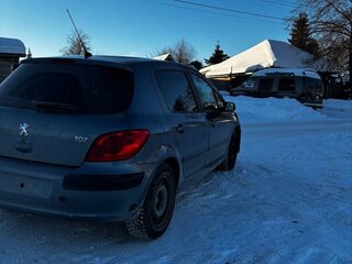 2007 Peugeot 307 I Рестайлинг, серый, 350000 рублей, вид 3