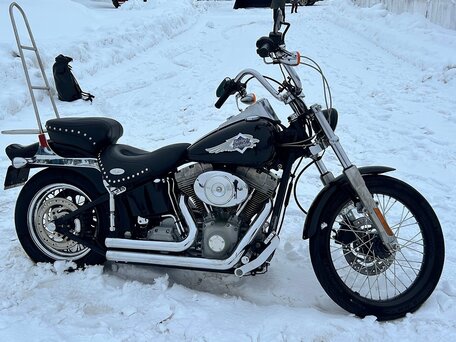 2001 Harley-Davidson Softail Standard, чёрный, 789000 рублей, вид 1