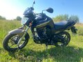 2024 Motoland Bandit 300, чёрный, 175000 рублей - вид 5