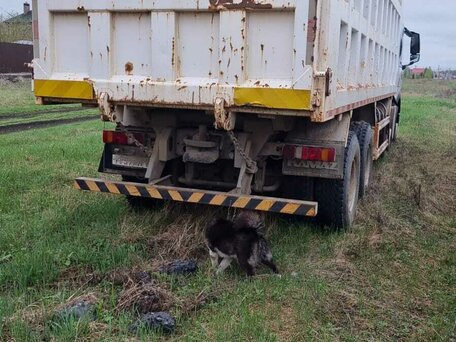 2013 Sinotruk Howo Прочие Кабины, белый, 4100000 рублей, вид 3