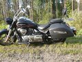 2017 Suzuki Boulevard C90, чёрный, 895000 рублей - вид 4