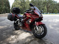 2006 Honda VFR 800, пурпурный, 550000 рублей