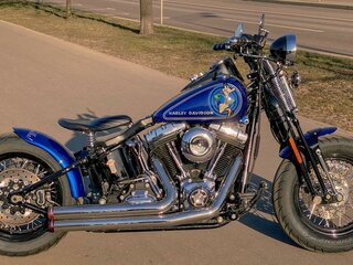 Harley-Davidson Cross Bones