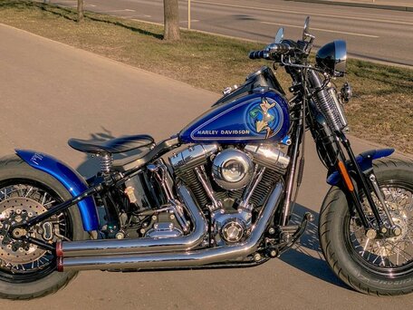 2008 Harley-Davidson Cross Bones, синий, 1150000 рублей, вид 1