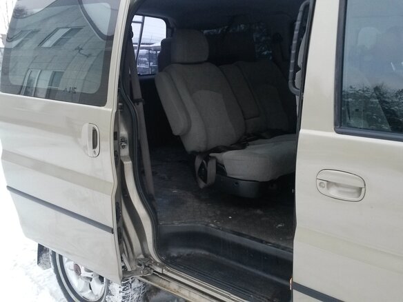 2005 Hyundai Starex I Рестайлинг 2, бежевый - вид 10
