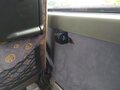 2002 MAN Lion's Coach, белый, 3099120 рублей - вид 7