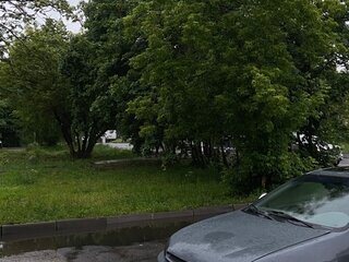 2000 Honda Accord VI, жёлтый, 430000 рублей, вид 3