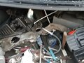 1997 Nissan Maxima IV (A32), серый - вид 5