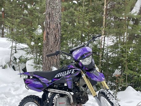 2017 Xmotos FX-95, пурпурный, 70000 рублей, вид 2