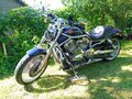 2008 Harley-Davidson V-Rod, синий - вид 5