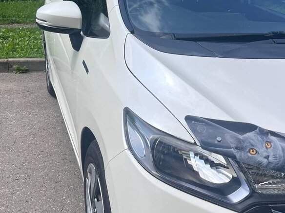 2013 Honda Fit III, белый, 1000000 рублей - вид 8