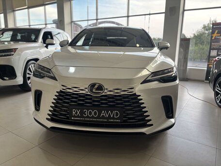 Lexus RX V