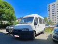 2009 Fiat Professional Ducato, белый, 600000 рублей - вид 4