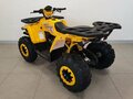 2025 Avantis Hunter 200 Big, жёлтый, 222100 рублей - вид 4