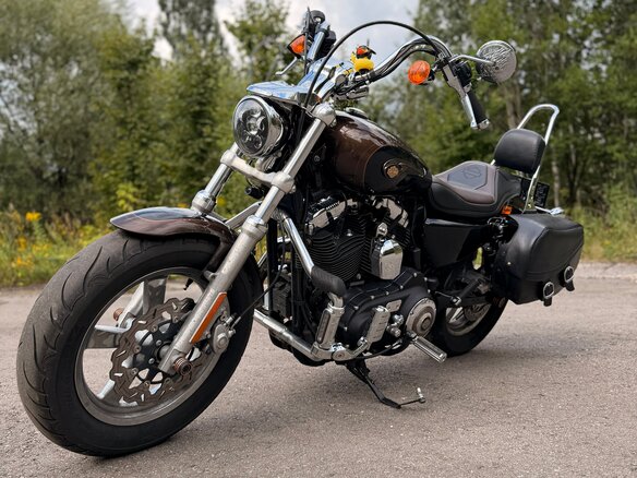 2013 Harley-Davidson Sportster 1200, коричневый, 850000 рублей - вид 7