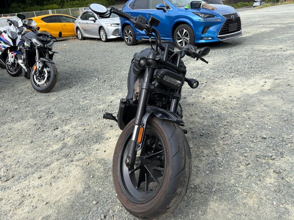 2021 Harley-Davidson Sportster S, чёрный, 1245000 рублей - вид 13