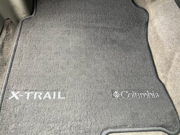 2005 Nissan X-Trail I Рестайлинг, серый - вид 7