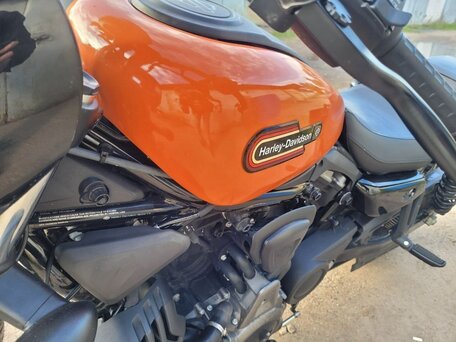 2024 Harley-Davidson Nightster, оранжевый, 950000 рублей, вид 3