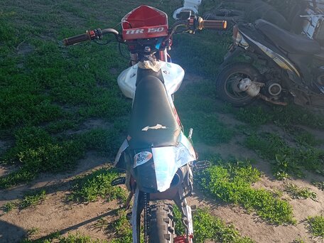 2013 Irbis TTR 150, красный, 45000 рублей, вид 5