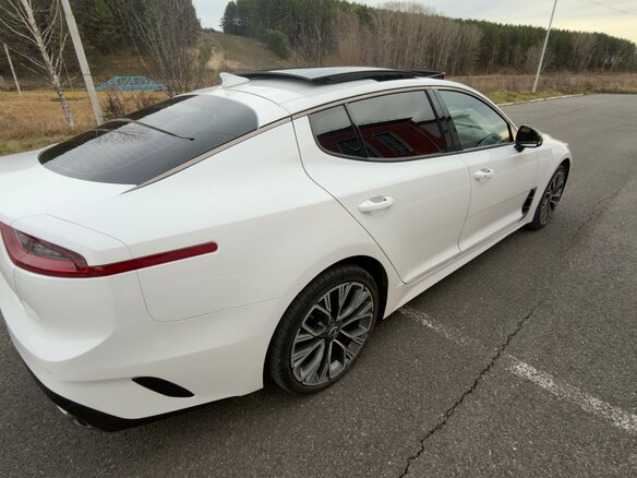 2019 Kia Stinger I, белый, 2570000 рублей - вид 6