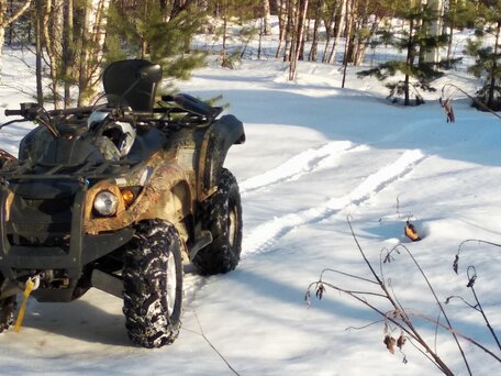 2011 Stels ATV-800, зелёный, 385000 рублей, вид 2