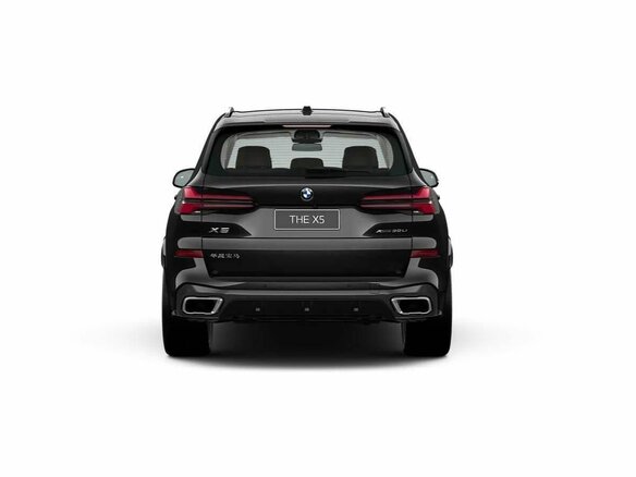 2025 BMW X5 Long 30Li IV (G05/G18) Рестайлинг, чёрный, 9270000 рублей - вид 7