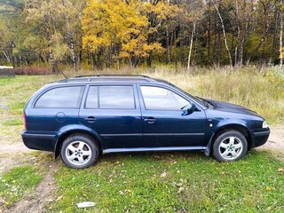 2002 Skoda Octavia I (A4) Рестайлинг, синий, 455000 рублей, вид 2