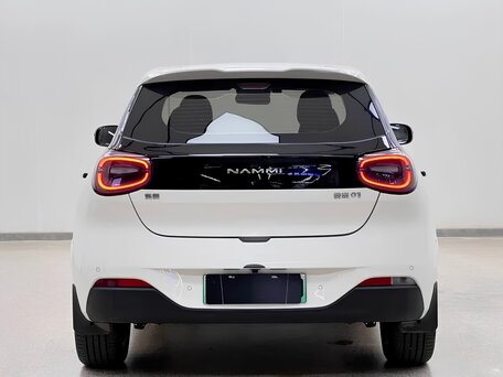 2024 Dongfeng Nammi 01 42.3 kWh, белый, 1530000 рублей, вид 5