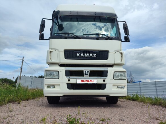 2016 КамАЗ 5490, белый, 1600000 рублей - вид 9