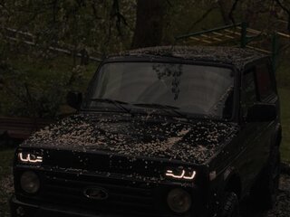 2025 Lada (ВАЗ) Niva Legend I, чёрный, 1100000 рублей, вид 5