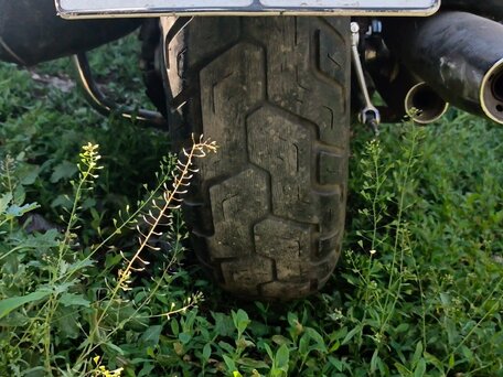 2000 Yamaha XVS400 Drag Star, белый, 350000 рублей, вид 3