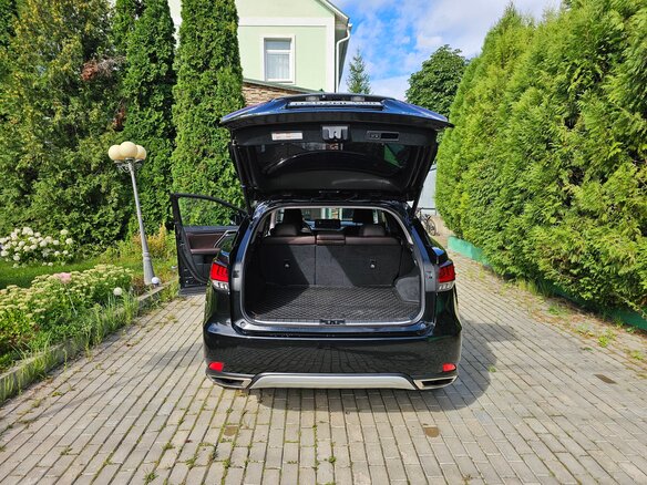 2020 Lexus RX 300 IV Рестайлинг, чёрный - вид 10