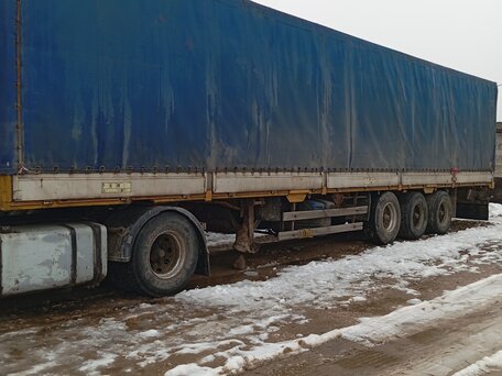 1994 Scania 3-Series, синий, 600000 рублей, вид 5