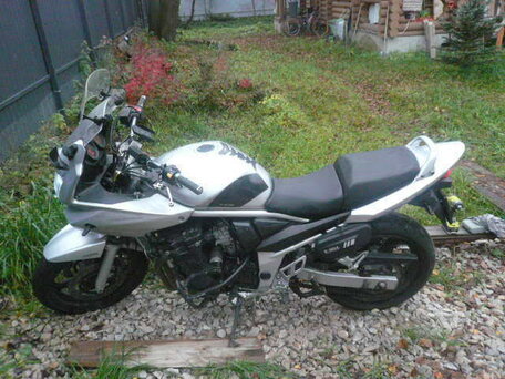 2005 Suzuki Bandit GSF 650, серебристый, 550000 рублей, вид 1