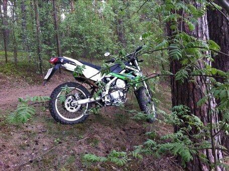 2014 Kawasaki KLX 250, зелёный, 390000 рублей, вид 2