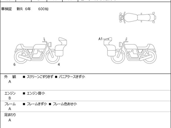2024 Triumph Tiger 1200, белый - вид 5