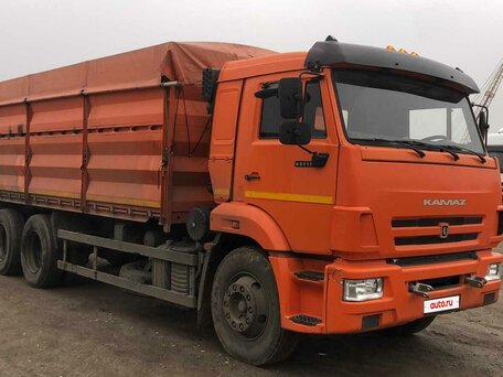 2021 КамАЗ 65115, оранжевый, 3660000 рублей, вид 2