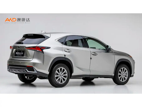 2020 Lexus NX 200 I Рестайлинг, серебристый, 2490000 рублей, вид 3