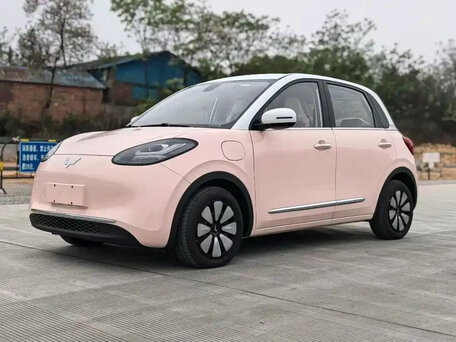 Wuling Binguo