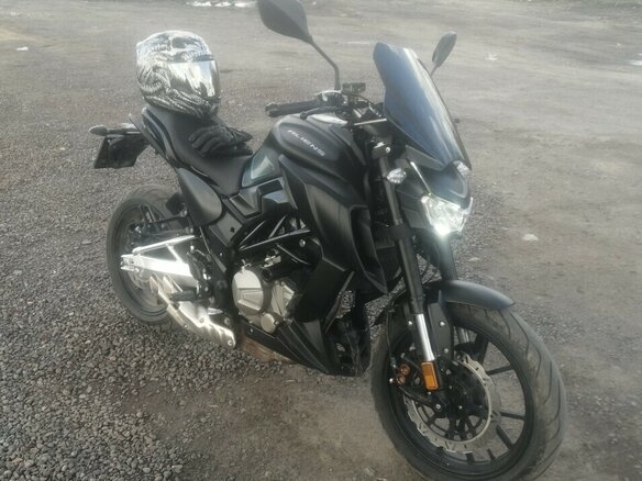 2022 Regulmoto Alien Monster, чёрный, 234000 рублей - вид 1