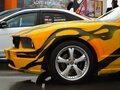 2008 Ford Mustang V, жёлтый, 6999999 рублей - вид 4