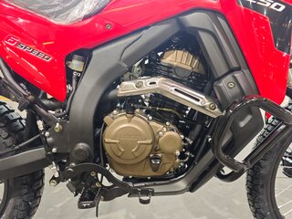 2026 Loncin DS250, пурпурный, 258000 рублей, вид 2