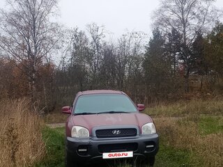2002 Hyundai Santa Fe I, фиолетовый, 270000 рублей, вид 3